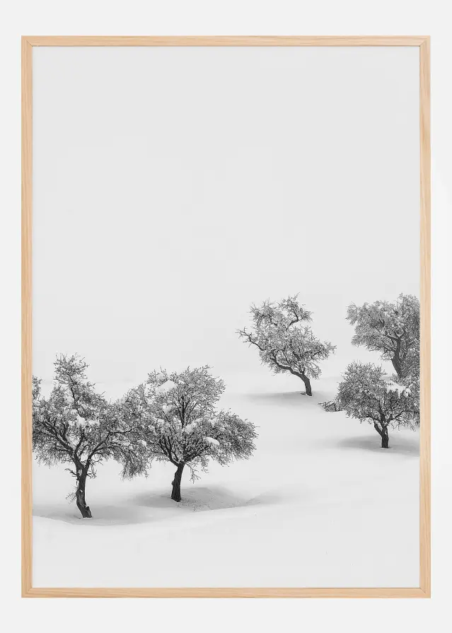 White Carpet Póster