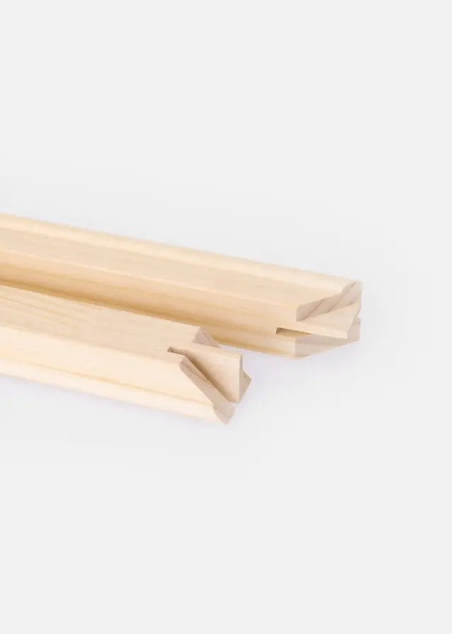 Focus Bastidores 2 unidades - 50 cm