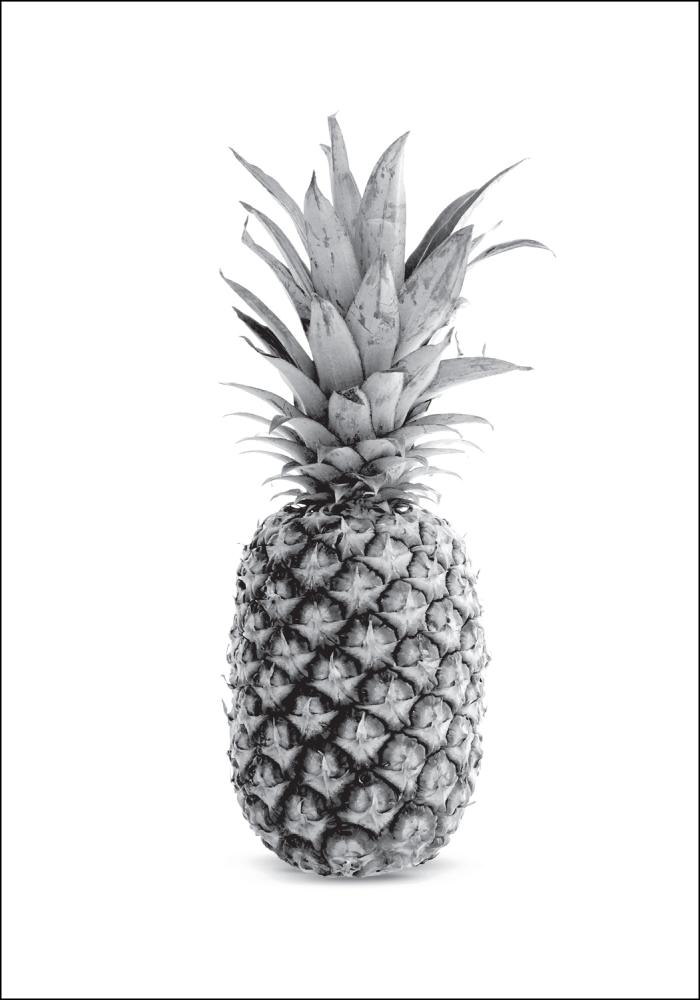 Pineapple Grey Póster