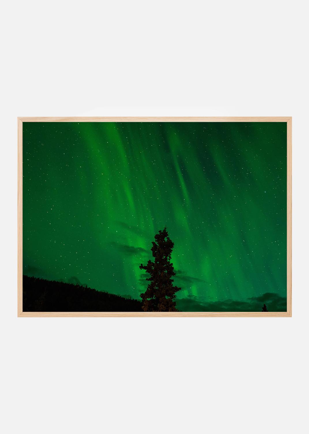 Product Image for Aurora boreal Póster (30x40 cm)