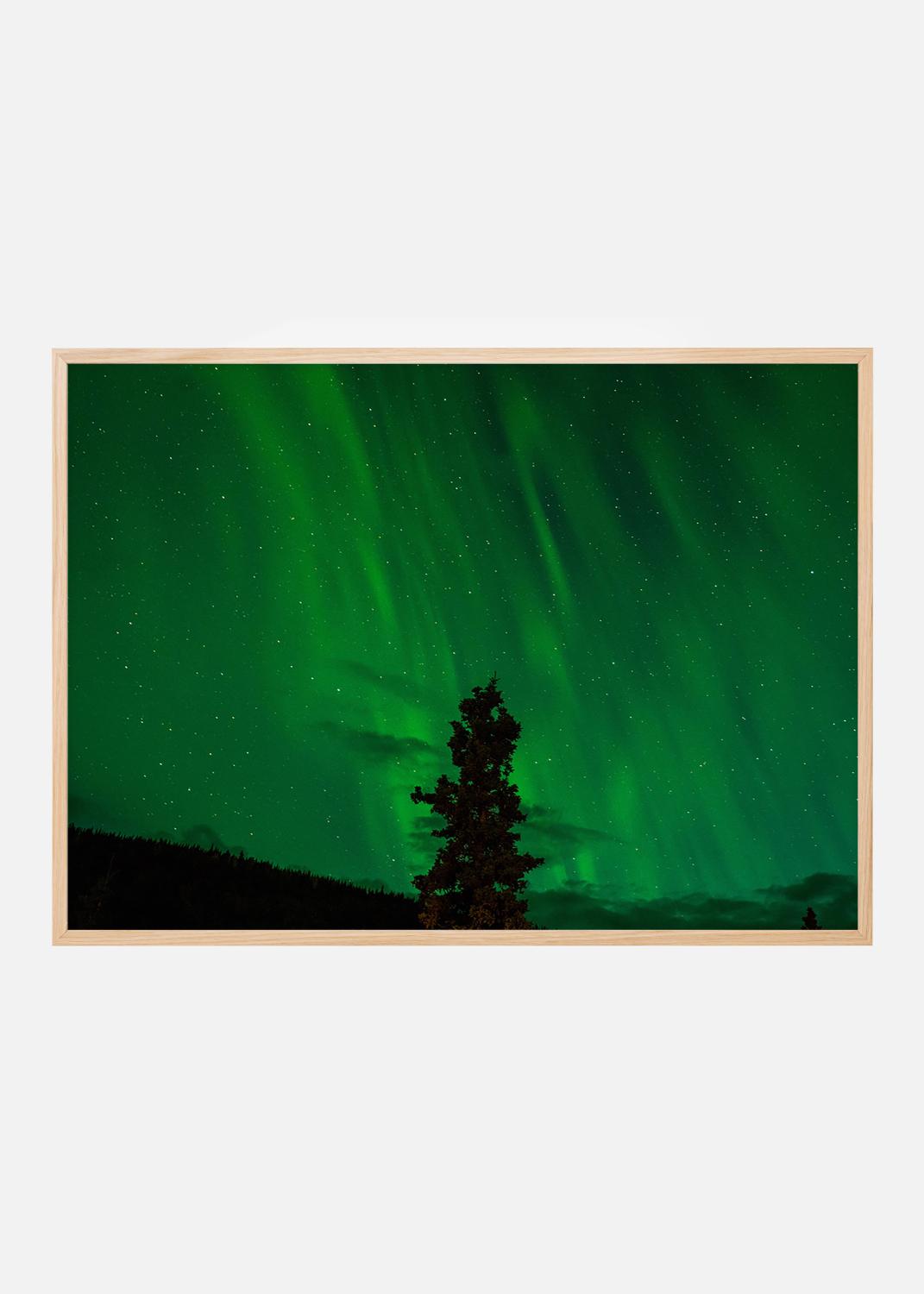 Product Image for Aurora boreal Póster (40x50 cm)