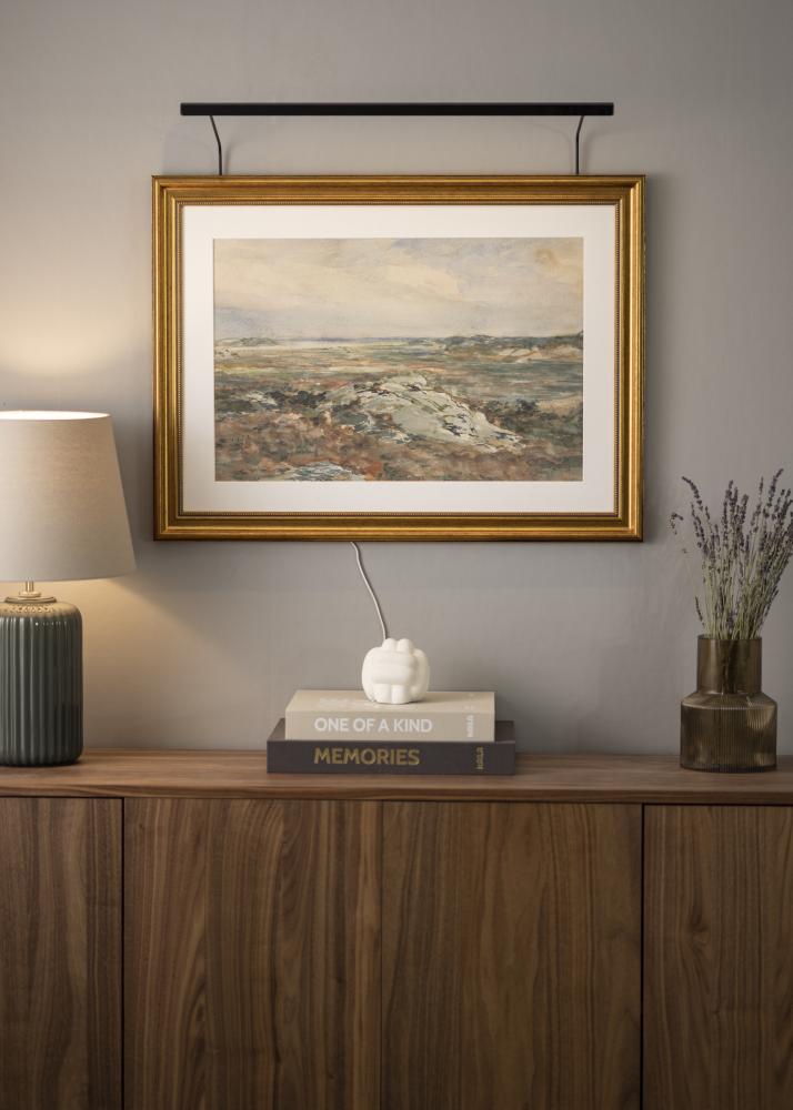 BLP 117 iluminação de painéis 65 cm - Preto