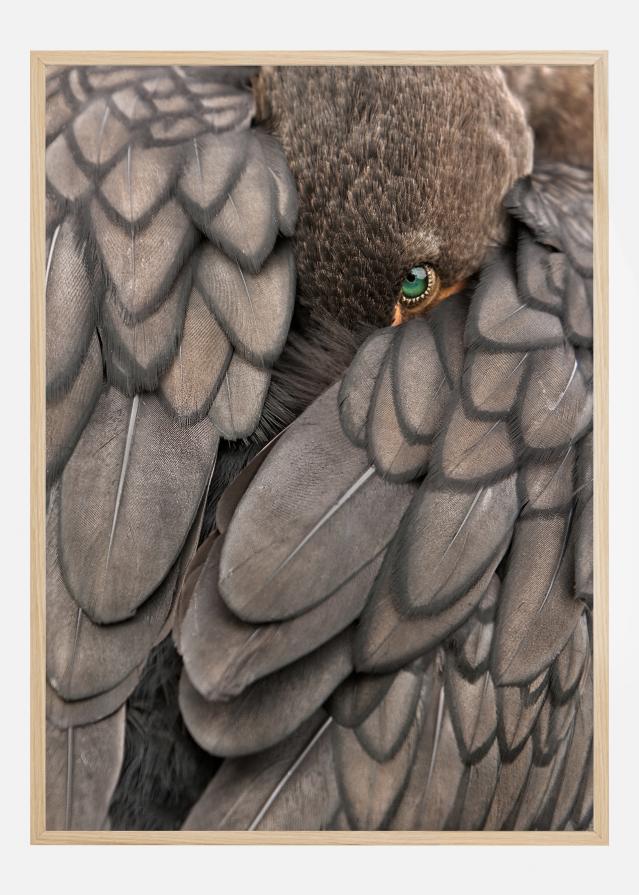 An Emerald with Diamonds Póster