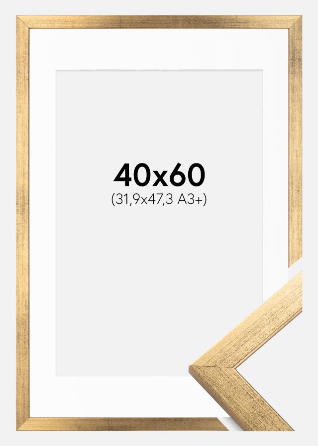 Moldura Stilren Dourado 40x60 cm - Passe-partout Branco 32,9x48,3 cm (A3+)