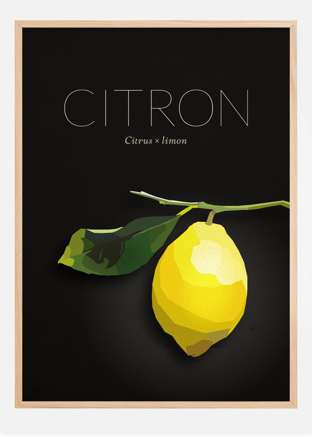 Product Image for Citron Póster (21x29.7 cm (A4))