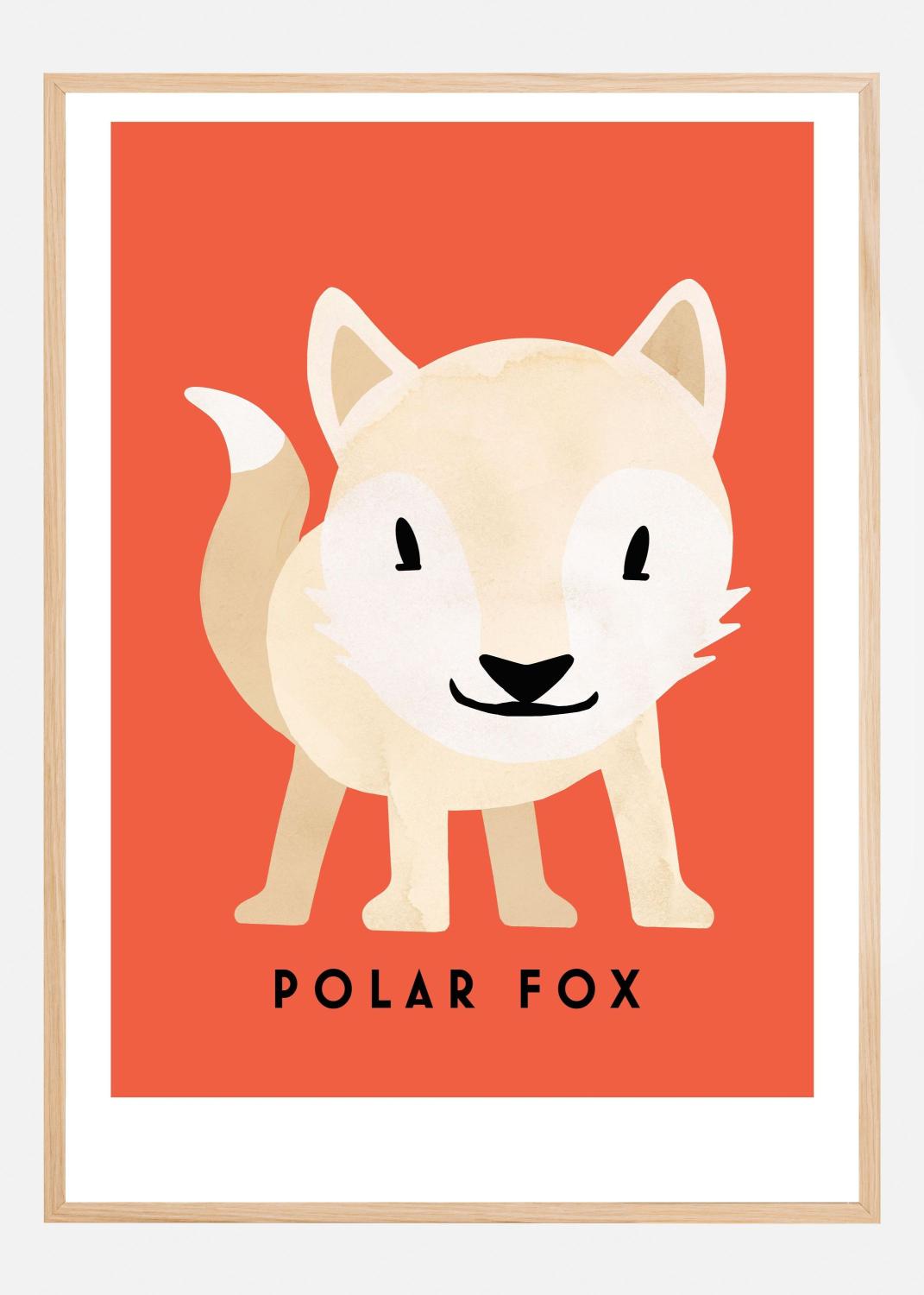 Product Image for Fjallrav Póster (40x60 cm)