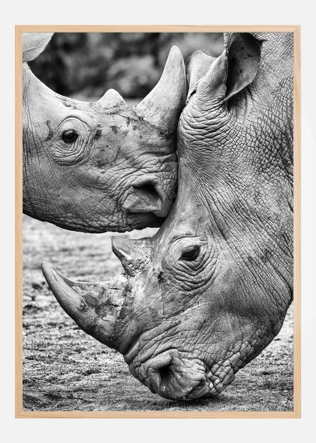 Face To Face Póster