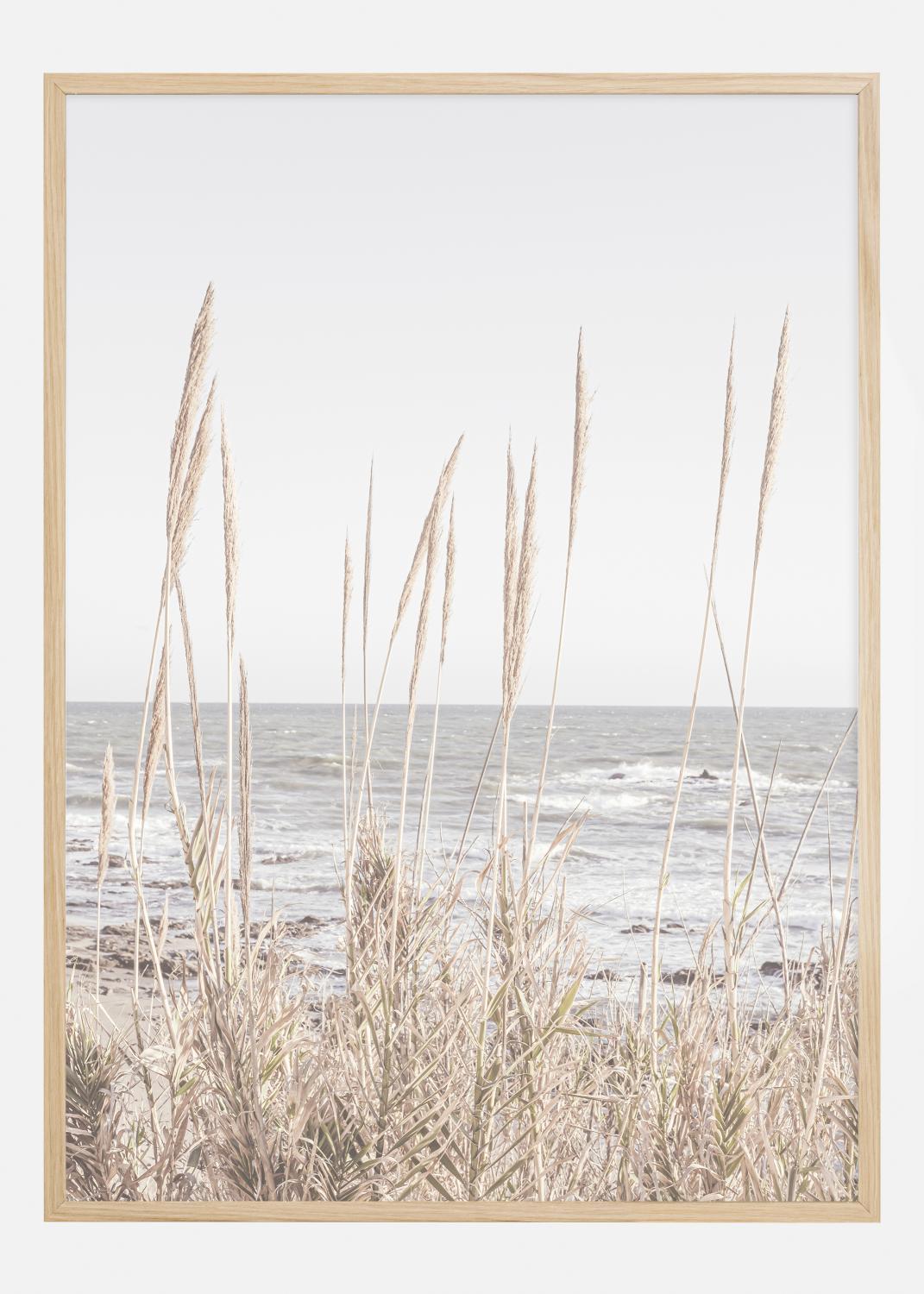 Product Image for Beach Vass 001 Póster (21x29.7 cm (A4))
