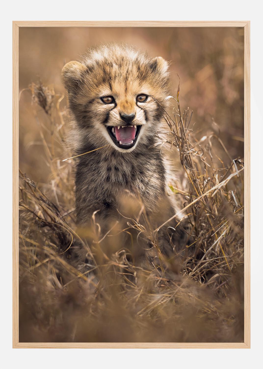 Product Image for Cartaz do Grande Sorriso (21x29.7 cm (A4))