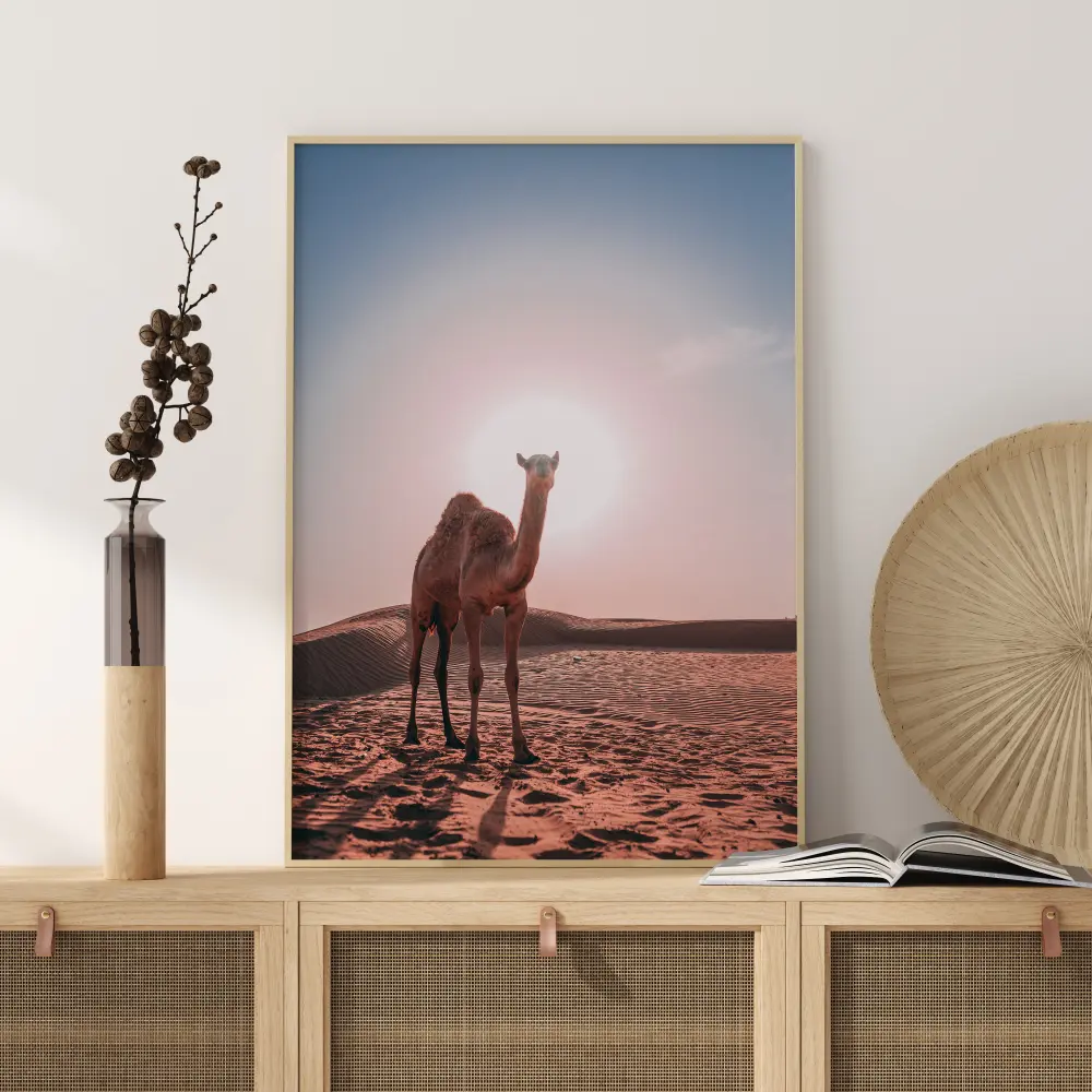 Camel Póster