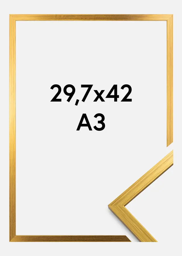 Moldura Edsbyn Dourado 29,7x42 cm (A3)