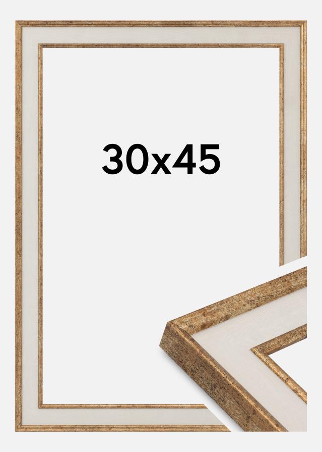 Moldura Dolly Vidro acrílico Ouro 30x45 cm