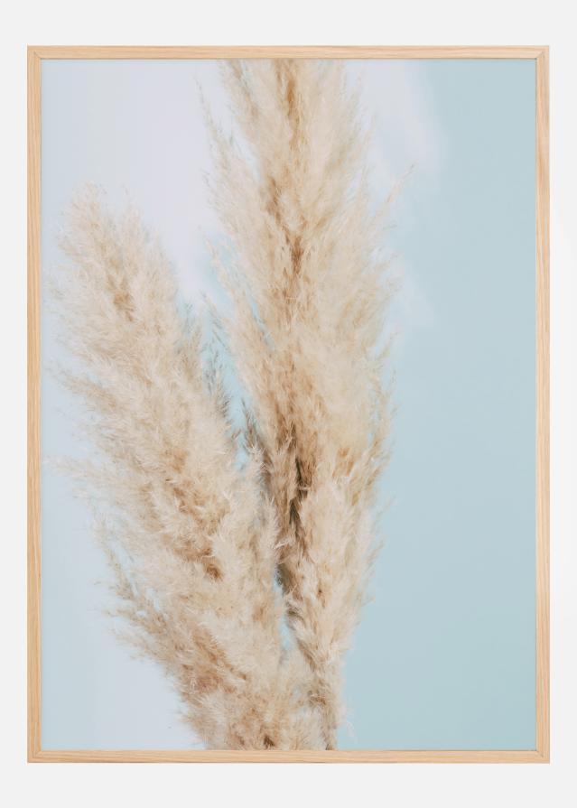 Pampas Grass Blue Póster