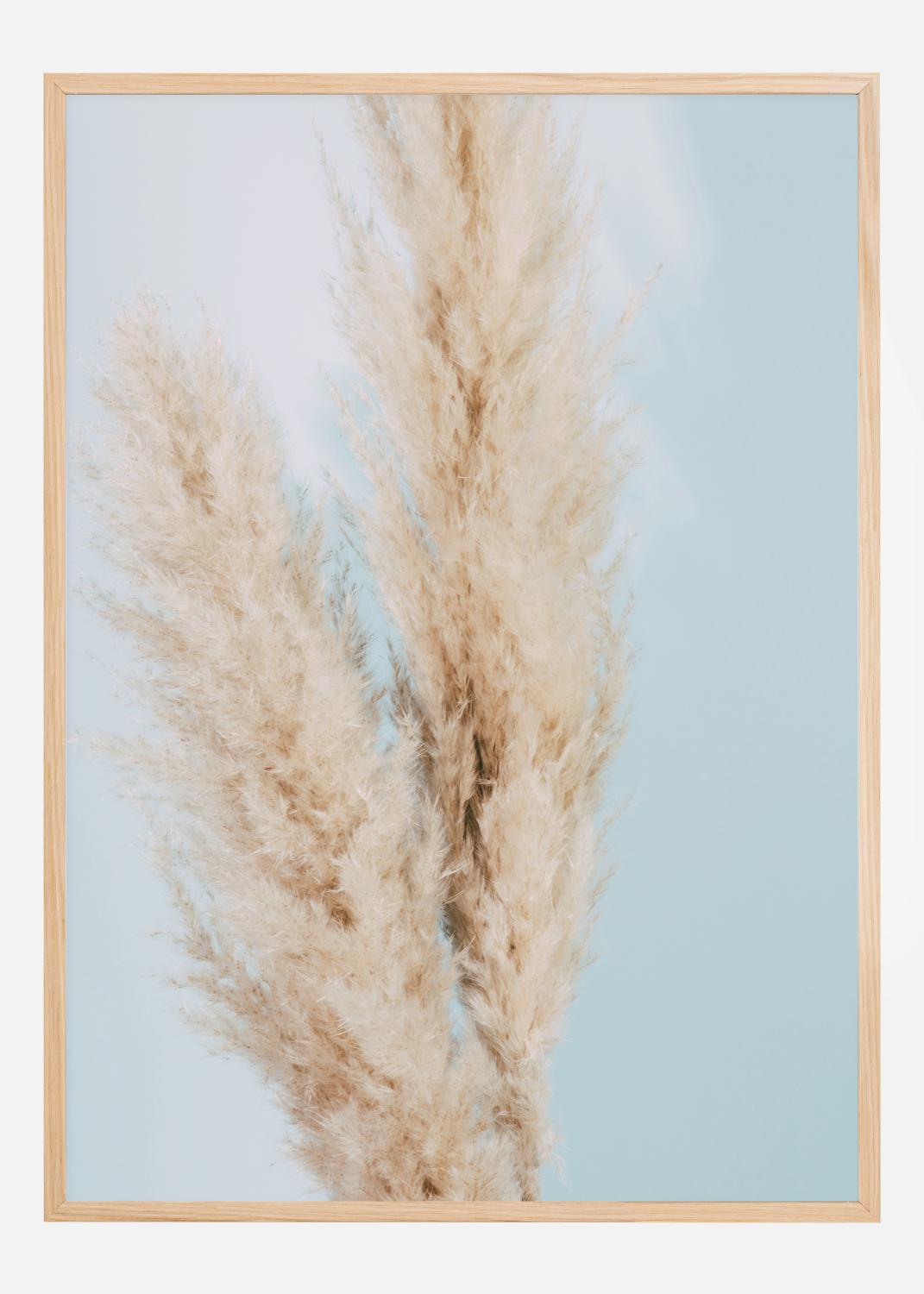 Product Image for Pampas Grass Blue Póster (21x29.7 cm (A4))