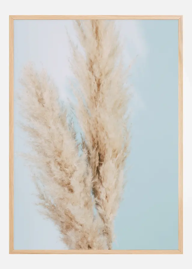 Pampas Grass Blue Póster