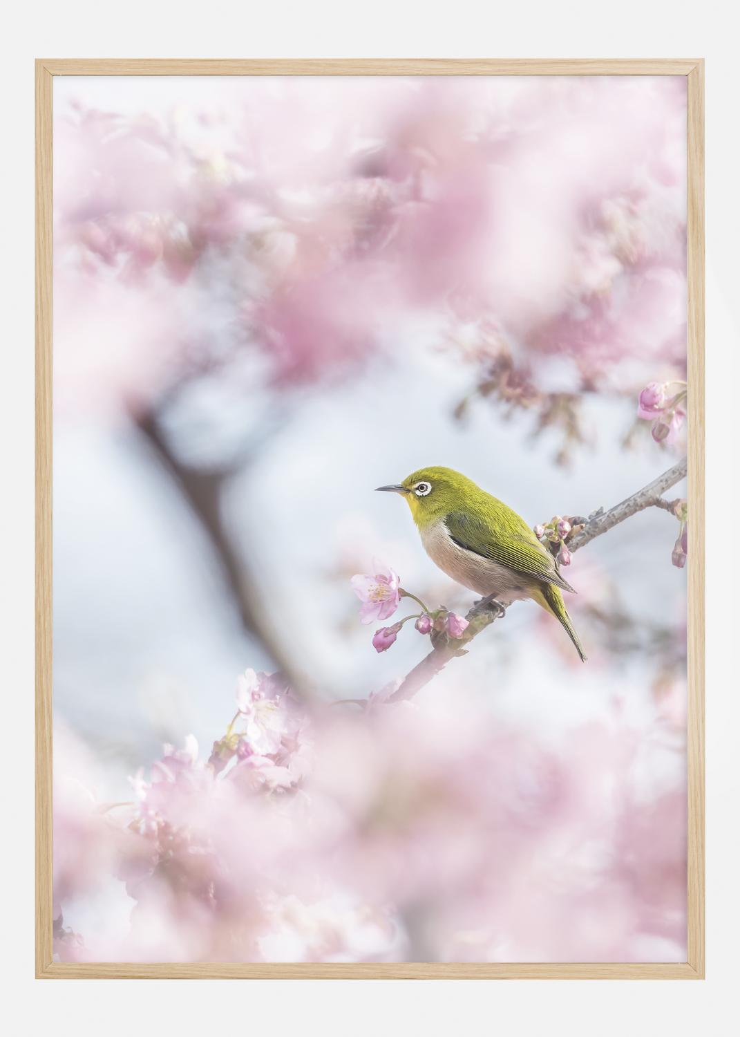 Product Image for Cherry Blossom color Póster (21x29.7 cm (A4))