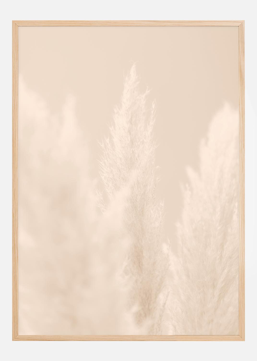 Product Image for Pampas Grass II Póster (50x70 cm)