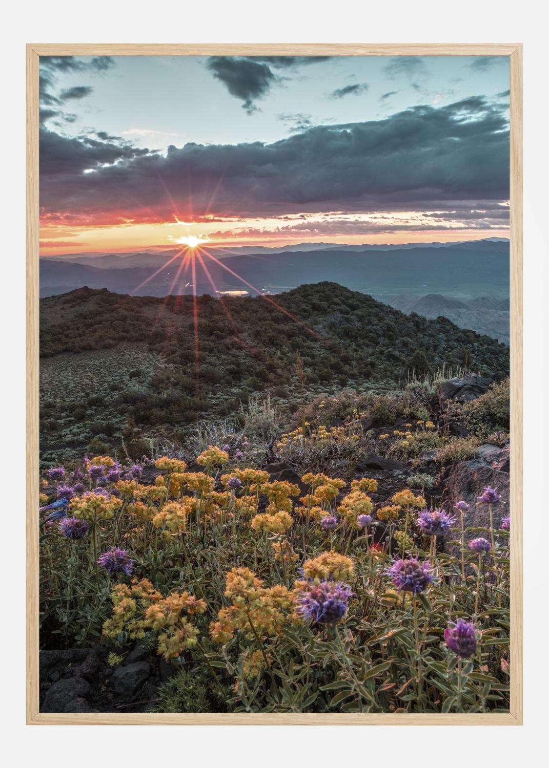 Product Image for Beautiful Sunset Póster (21x29.7 cm (A4))