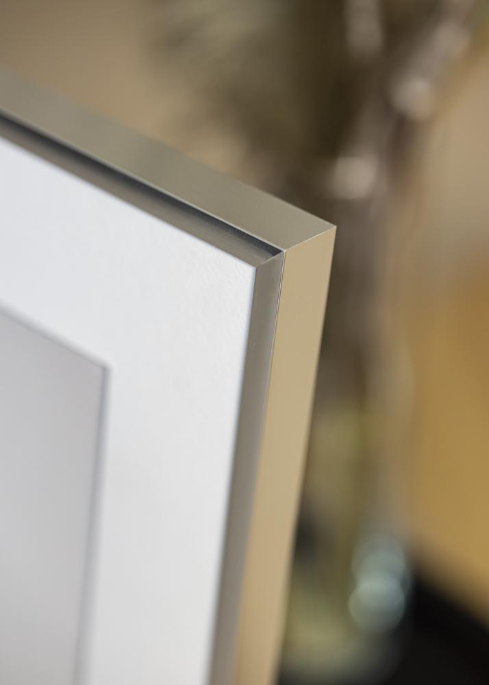Moldura Póster Frame Aluminum Prateado 70x100 cm - Passe-partout Branco 62x85 cm