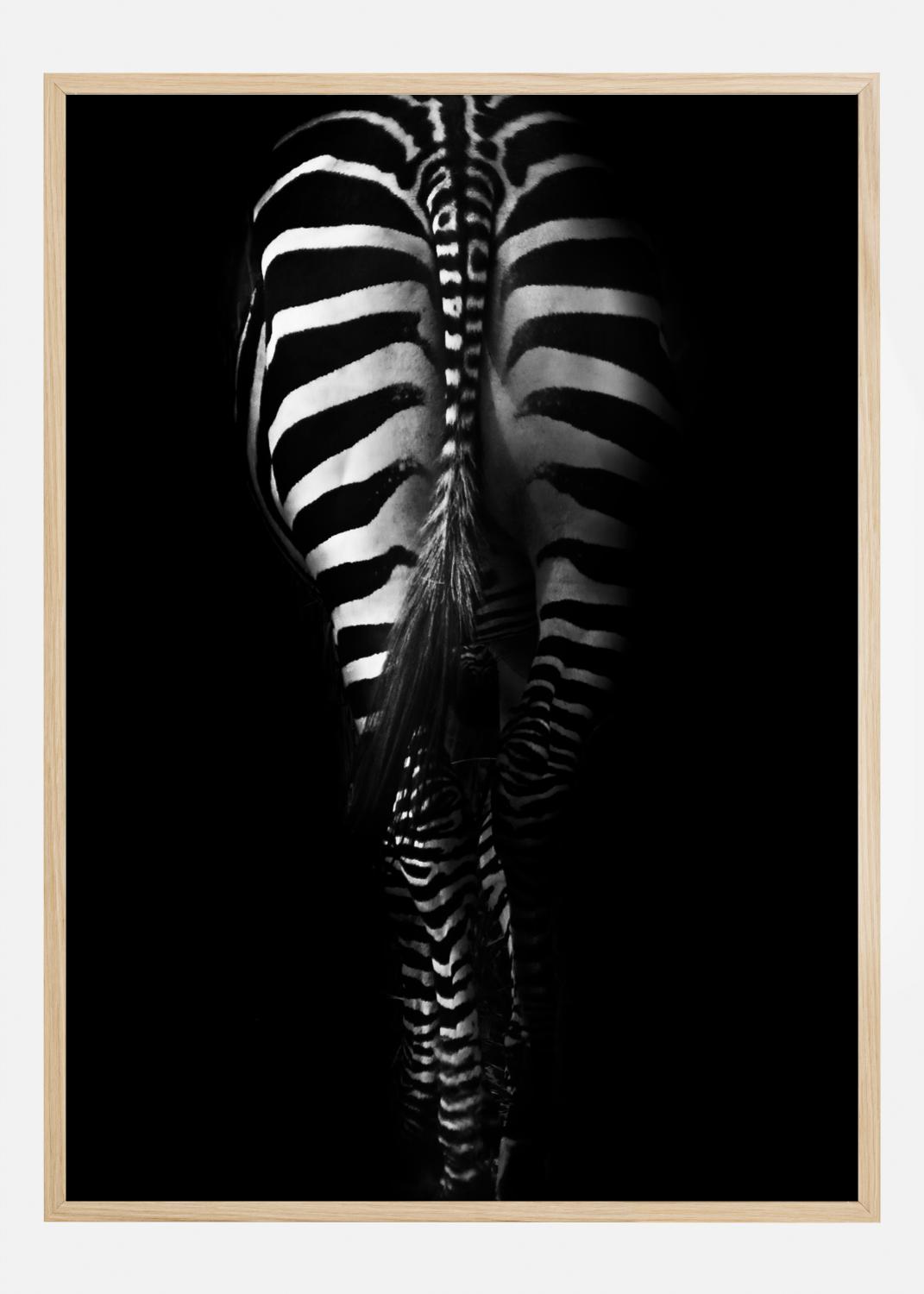 Product Image for Zebra Tail Póster (21x29.7 cm (A4))
