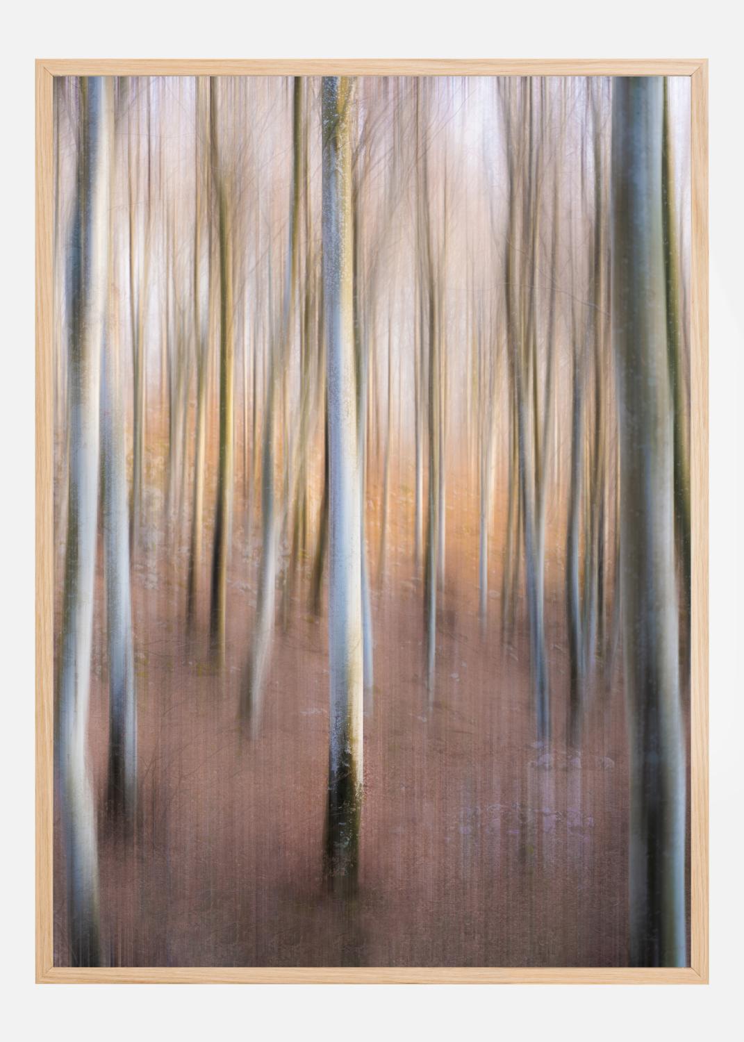 Product Image for Magic Woodland Póster (21x29.7 cm (A4))