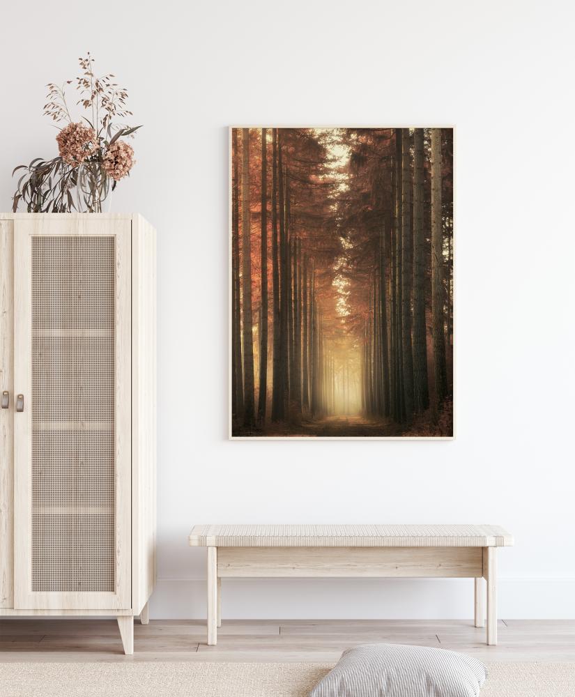 Light Burning Póster