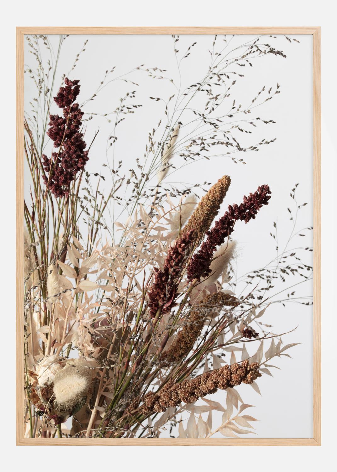 Product Image for Dried 001 Póster (21x29.7 cm (A4))