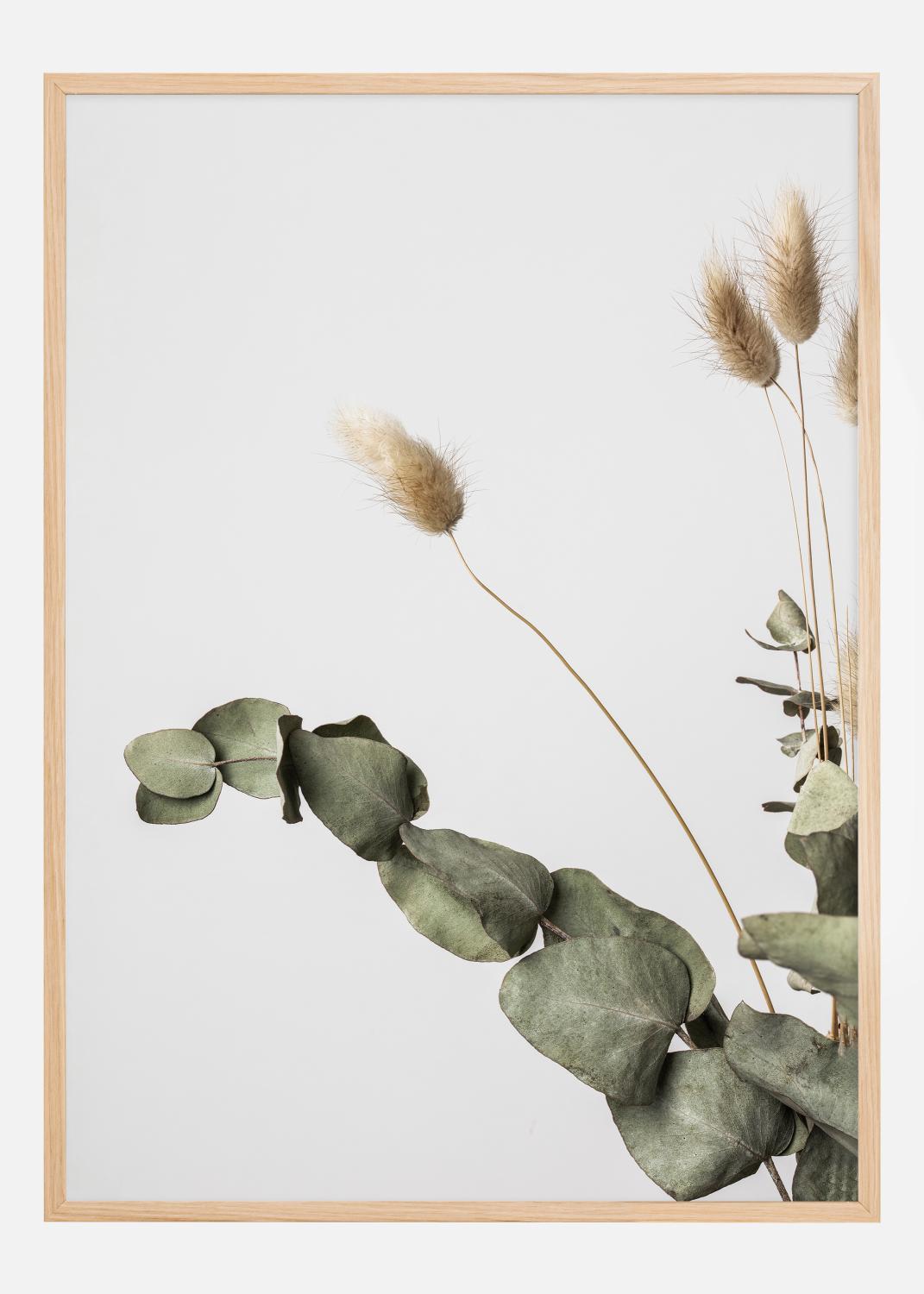 Product Image for Dried 002 Póster (21x29.7 cm (A4))