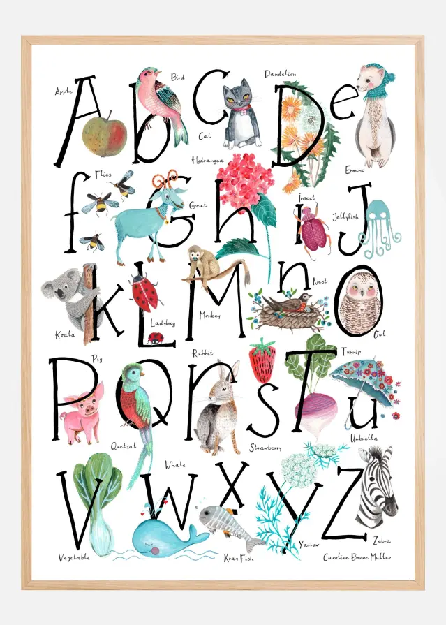 ABC illustration Póster