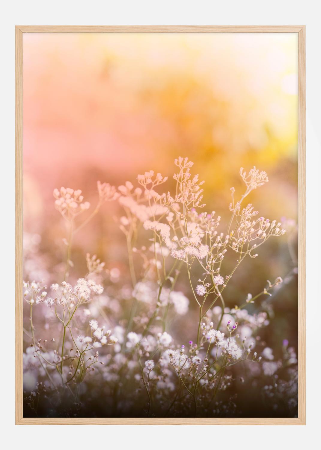 Product Image for A Beautiful Summer Evening Póster (30x40 cm)