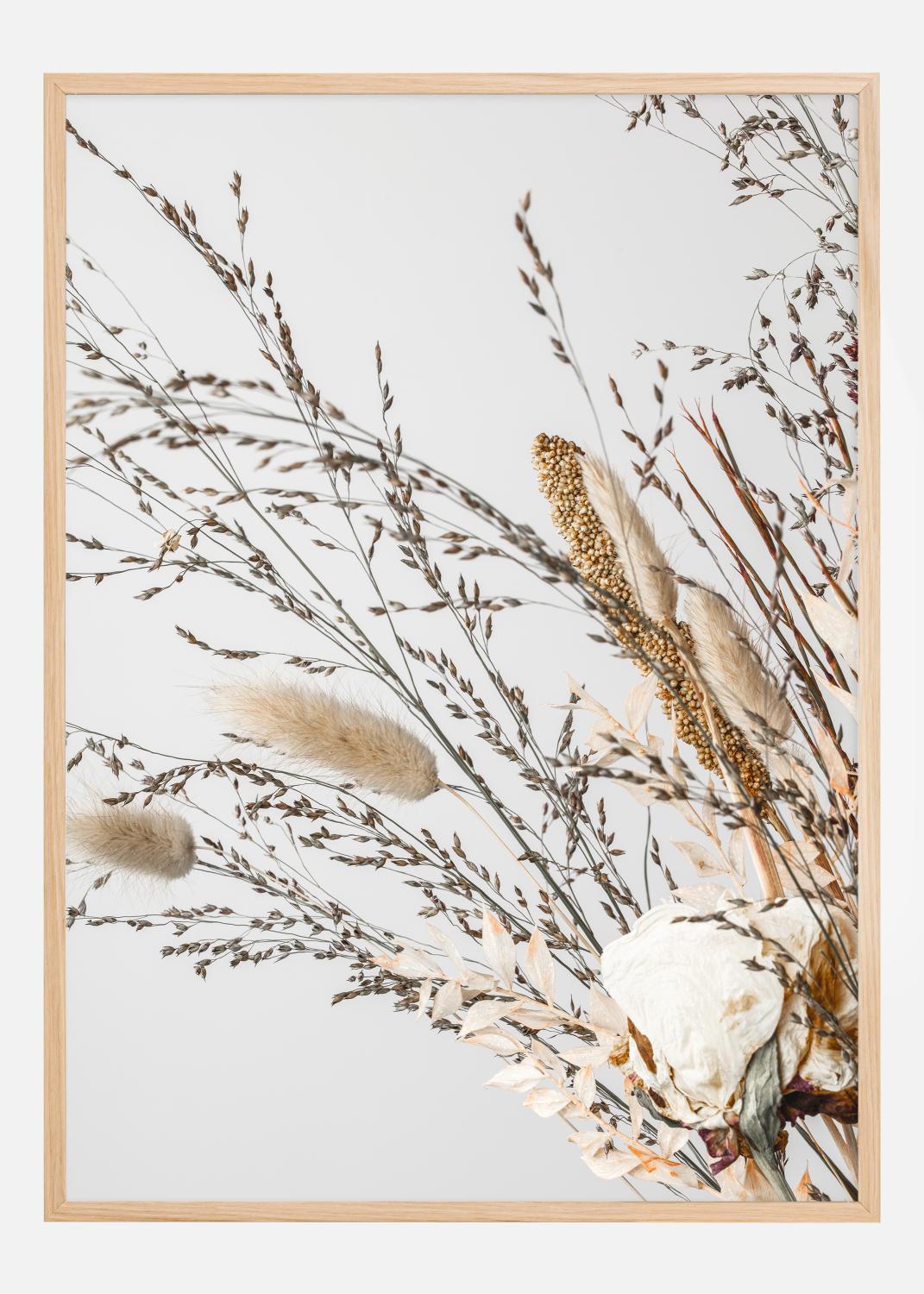 Product Image for Dried 008 Póster (21x29.7 cm (A4))
