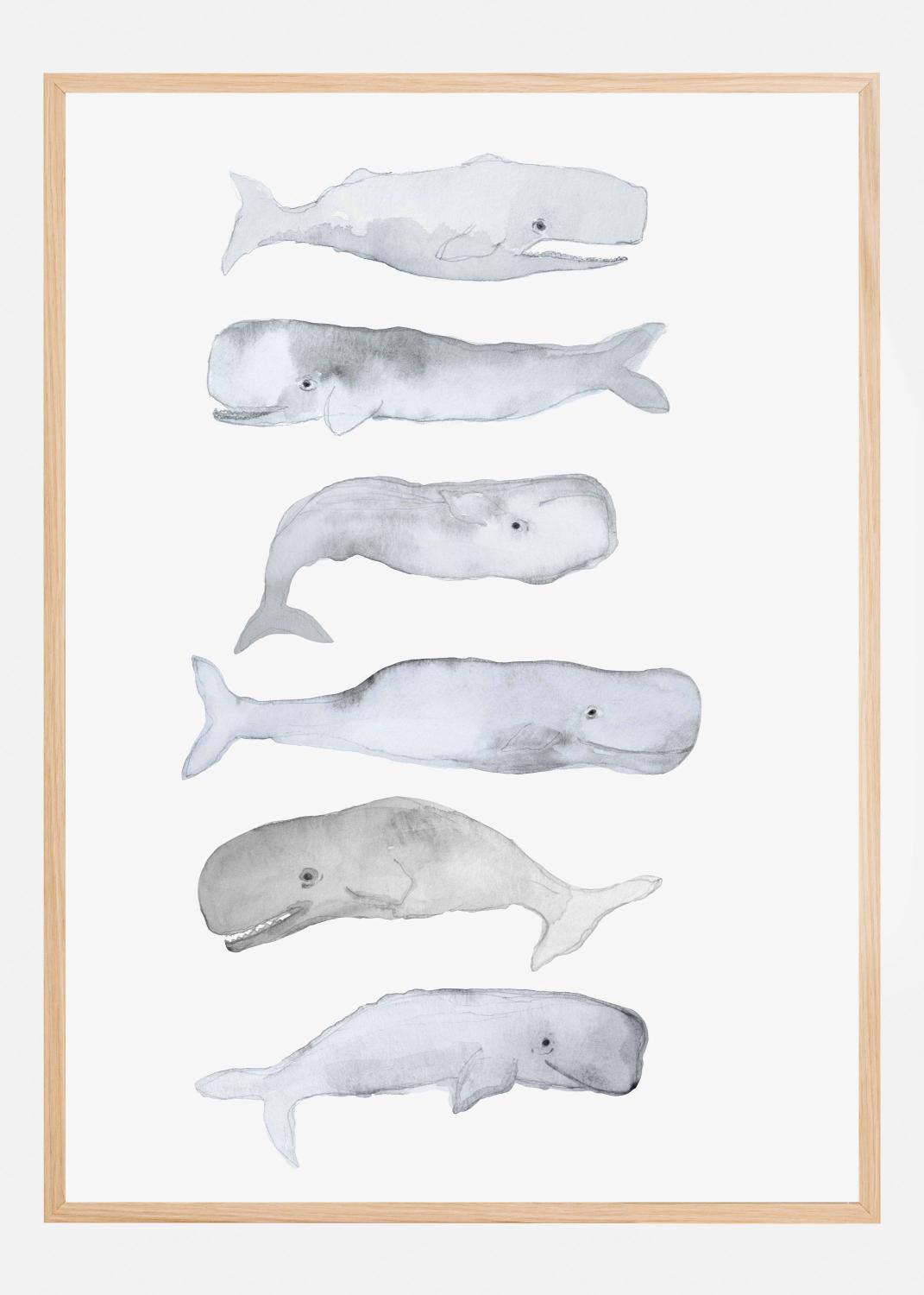 Product Image for Kids Line Whale Art Póster (21x29.7 cm (A4))
