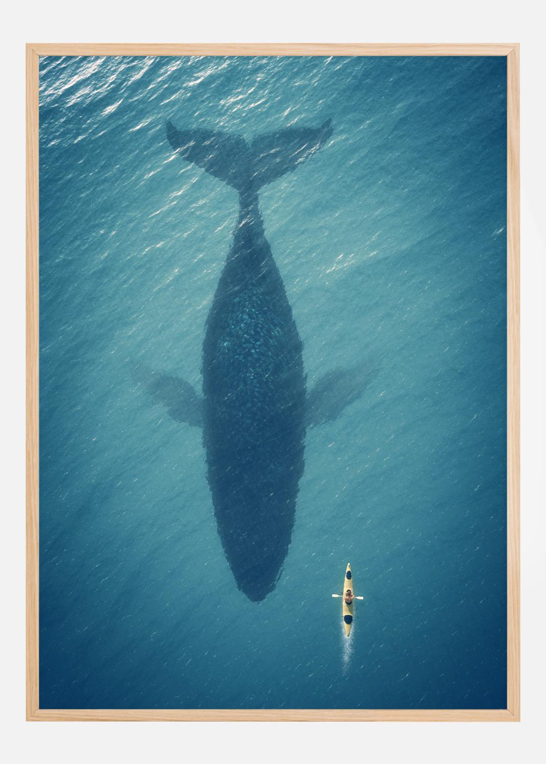 Product Image for A Big Whale Póster (21x29.7 cm (A4))