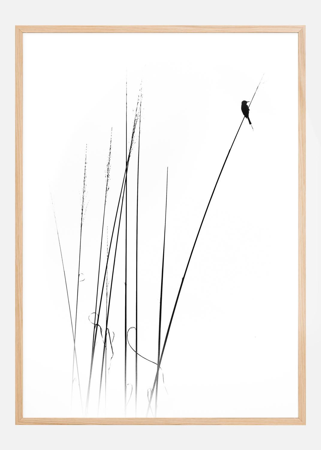 Product Image for A sabbatical Póster (21x29.7 cm (A4))
