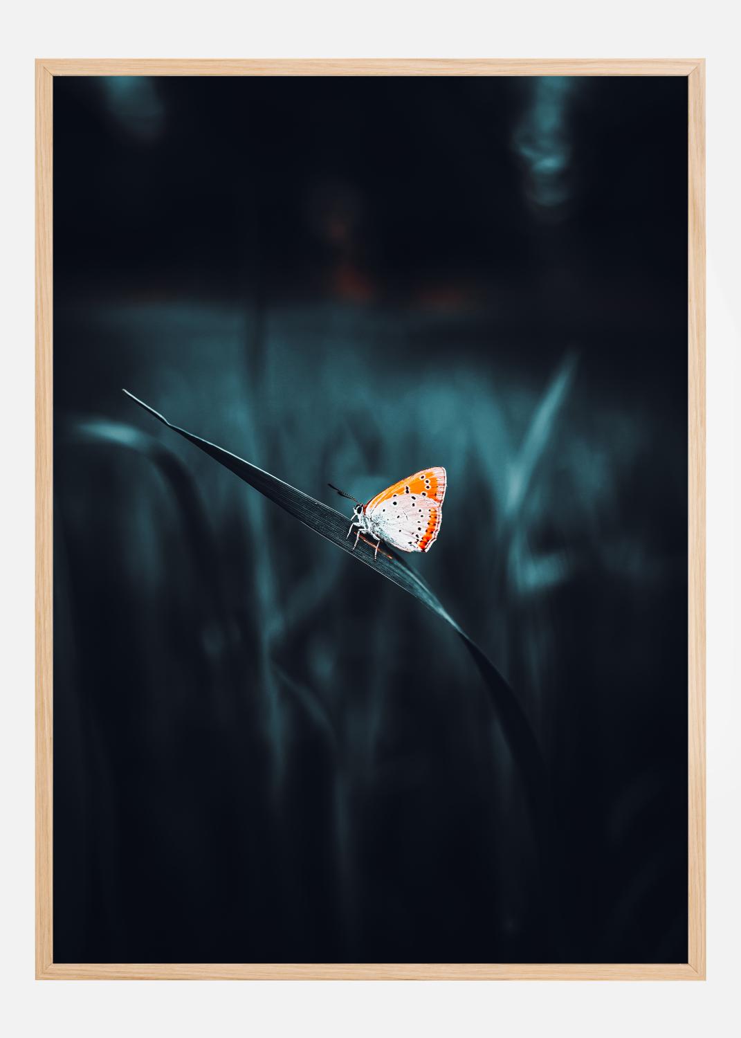 Product Image for A Lonely Butterfly Póster (21x29.7 cm (A4))