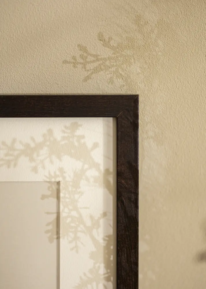 Moldura Selection Vidro Acrílico Nogueira 60x70 cm