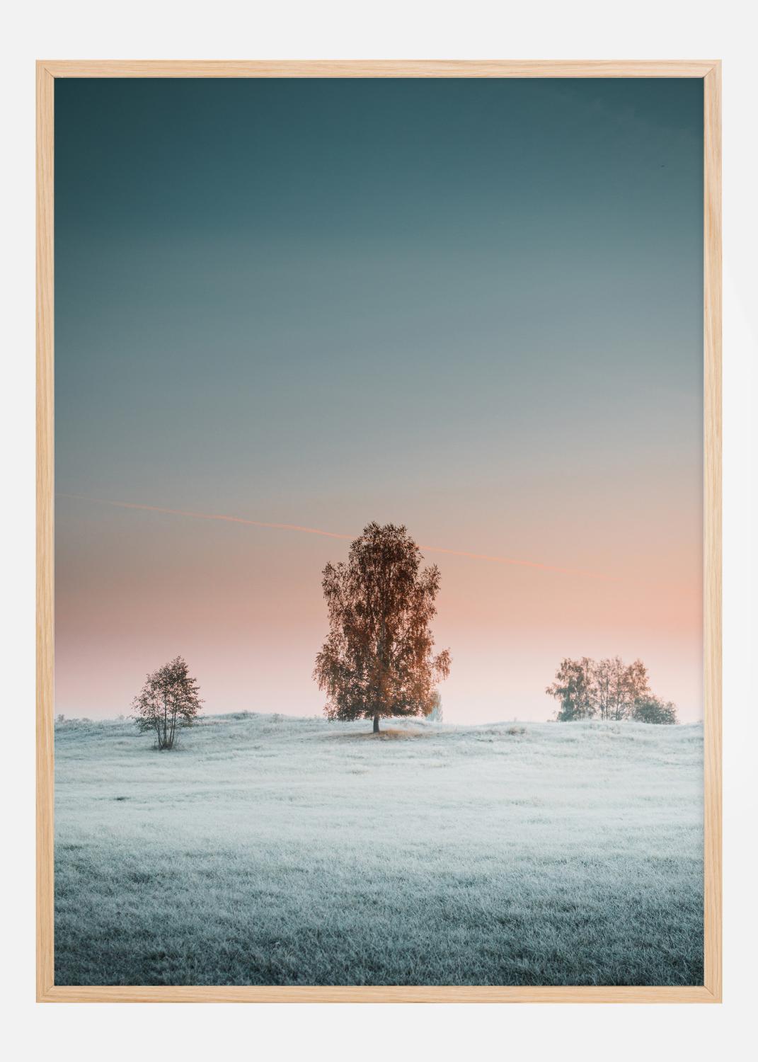 Product Image for A Peaceful Morning Póster (21x29.7 cm (A4))