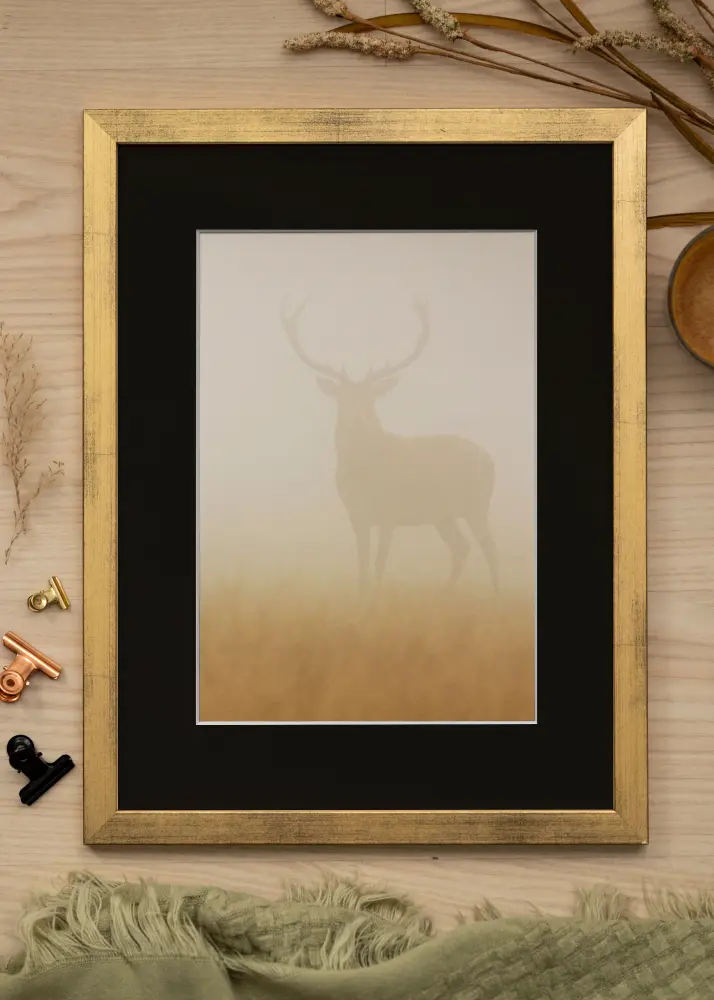 Moldura Stilren Dourado 50x70 cm - Passe-partout Preto 42x59,4 cm (A2)