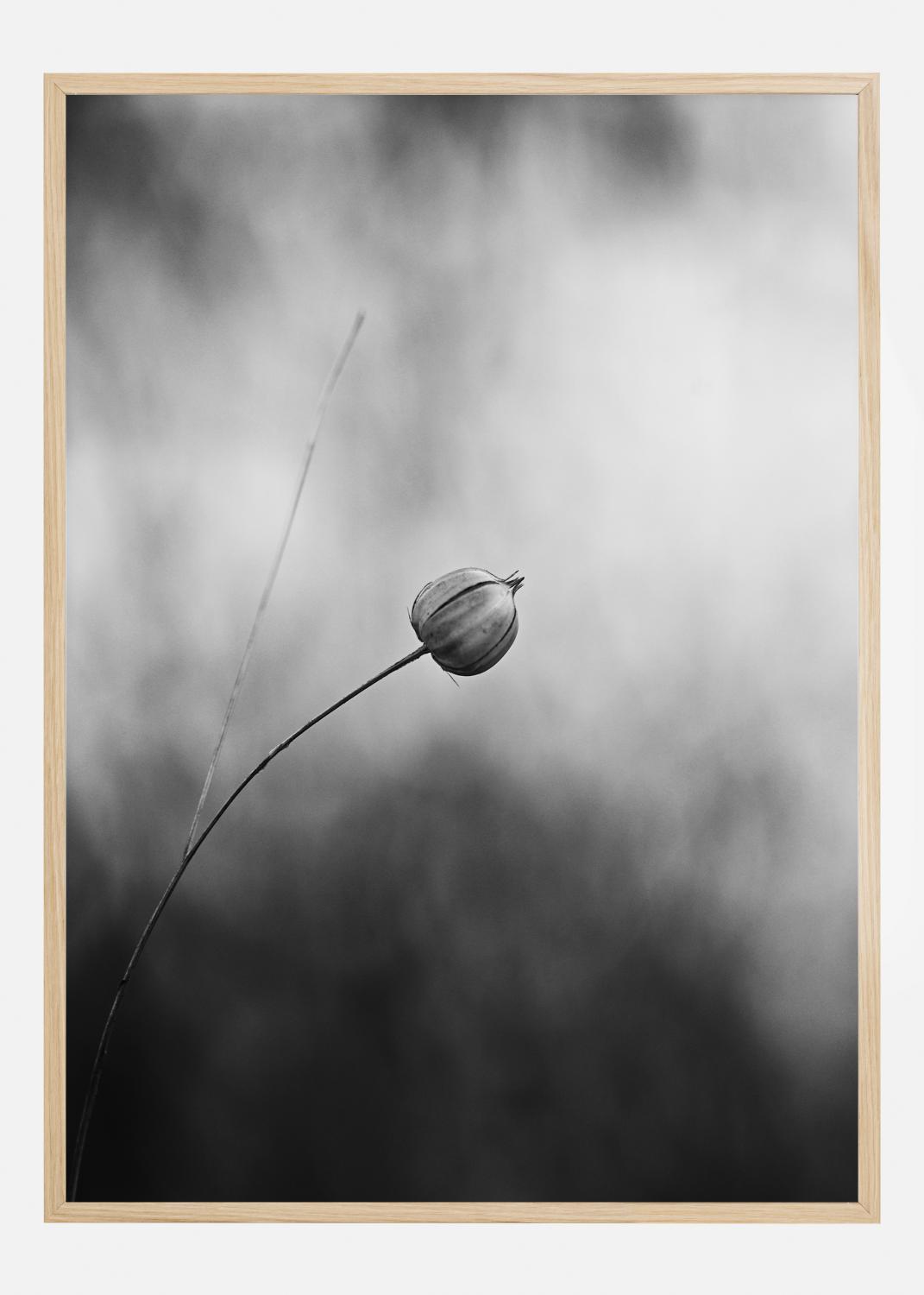 Product Image for Flax After Flowering Póster (21x29.7 cm (A4))