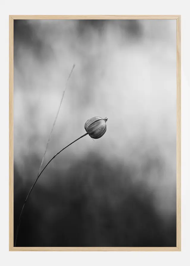 Flax After Flowering Póster