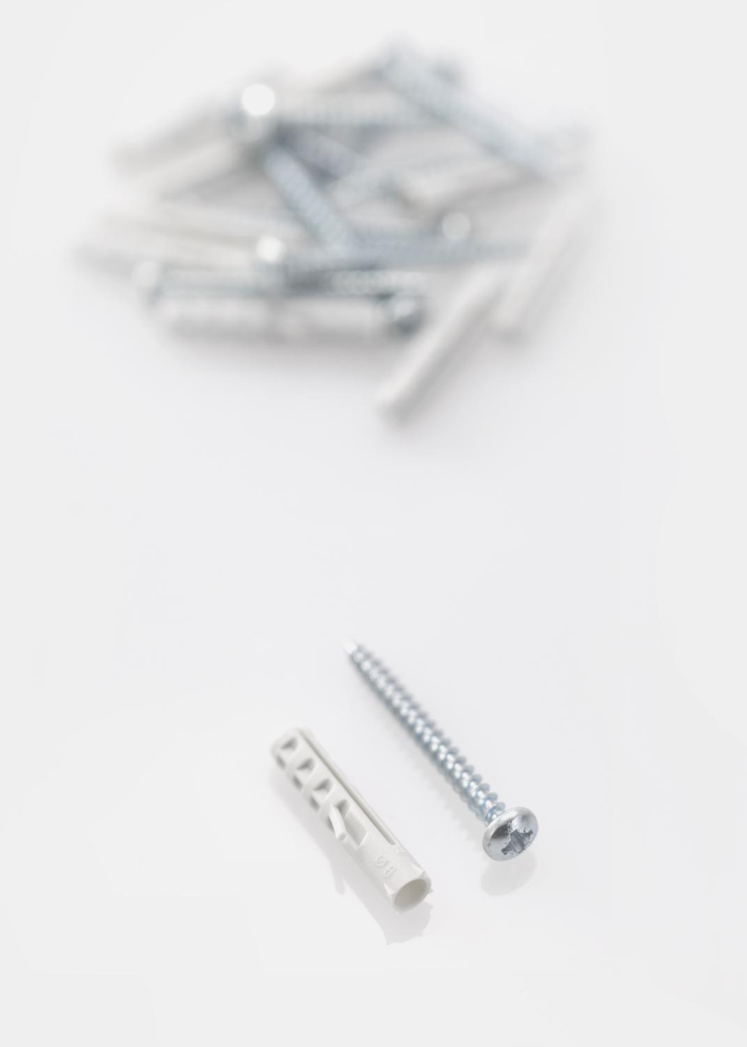 Product Image for Buchas 30 x 6 mm com parafusos 10-p