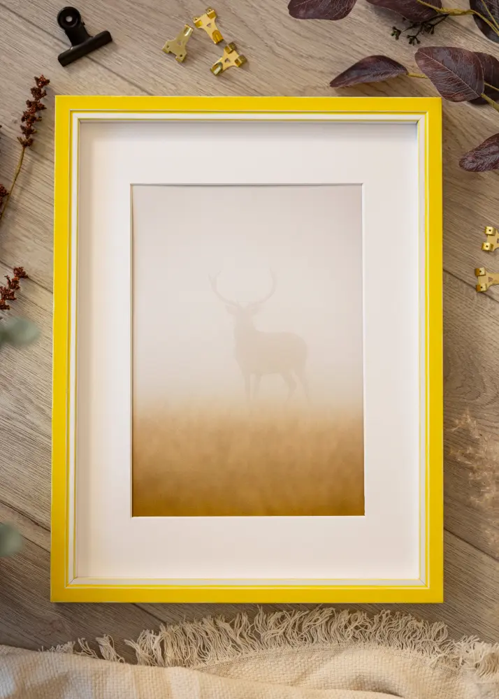 Moldura Diana Vidro acrílico Amarelo 50x50 cm