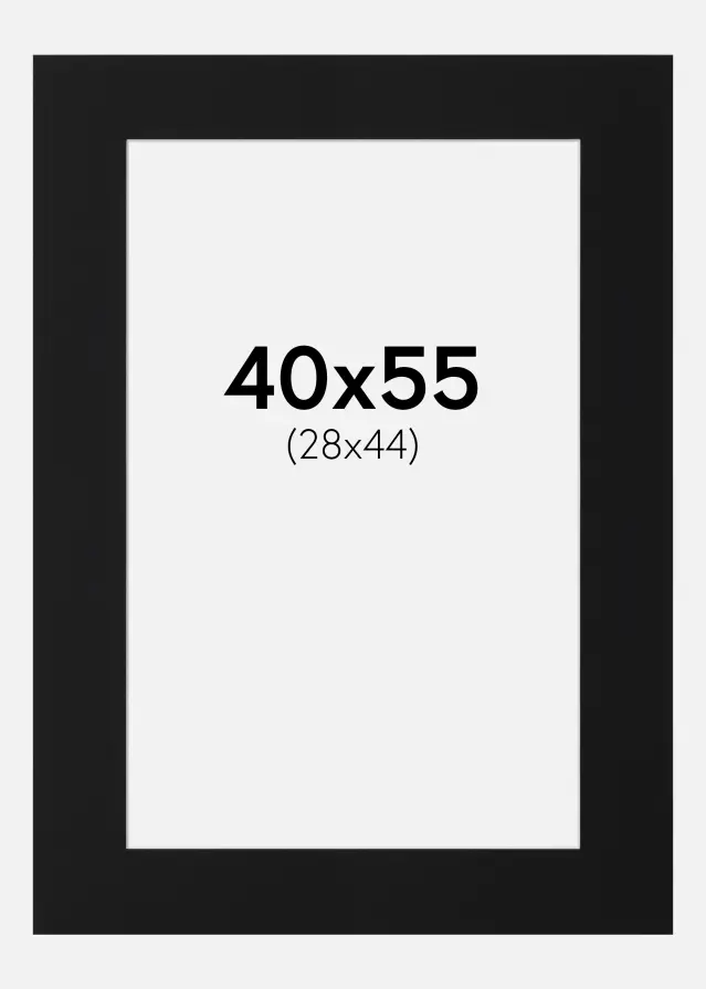 Passe-partout Preto Padrão (Bordo interior branco) 40x55 cm (28x44)