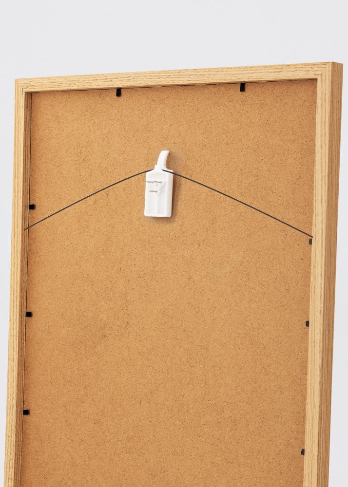 Ganchos para quadros para todos os tipos de paredes - Ganchos BGA 2 un.