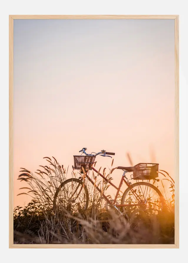 Cartaz de passeio de bicicleta ao pôr do sol