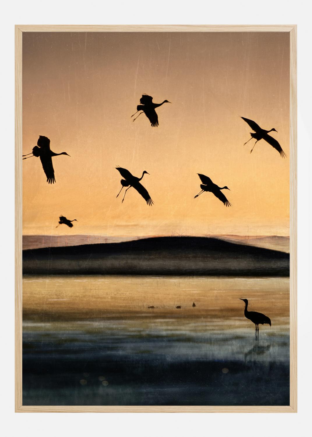 Product Image for Fly-In At Sunset Póster (21x29.7 cm (A4))