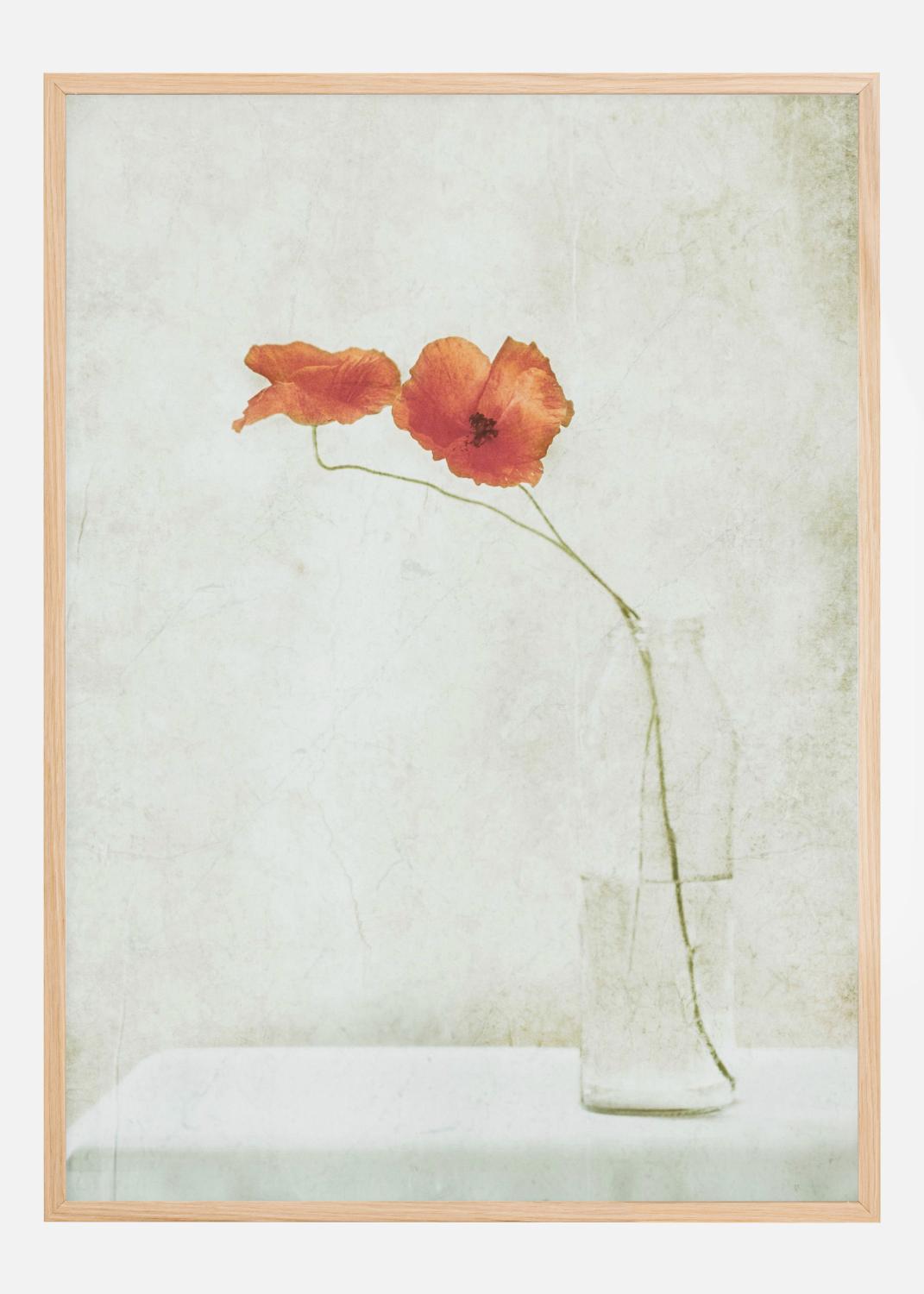 Product Image for Two Poppies In A Bottle Póster (50x70 cm)