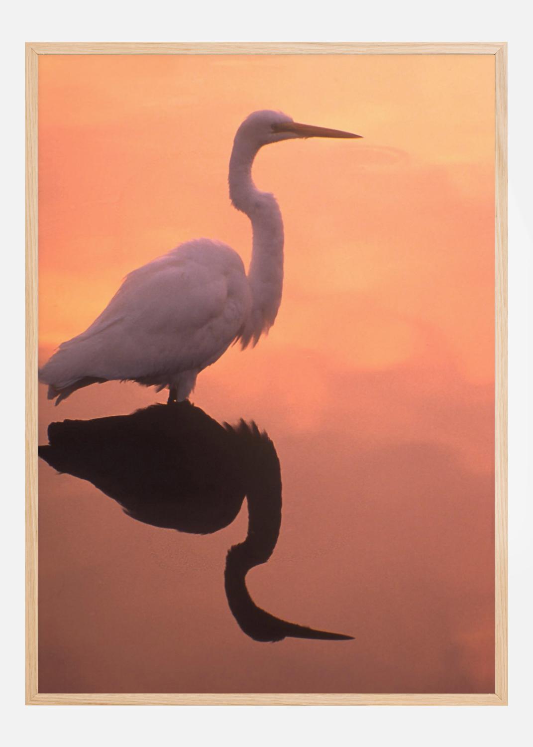 Product Image for Pássaro em água laranja Cartaz (21x29.7 cm (A4))