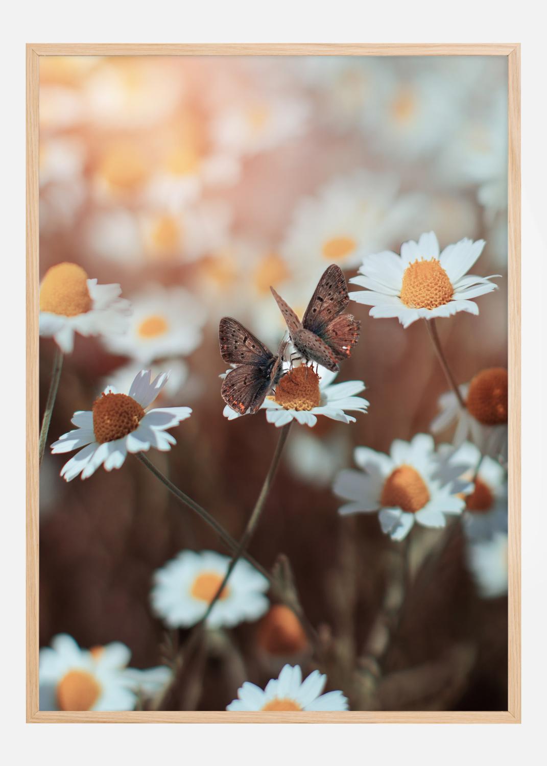 Product Image for Two Butterflies Póster (50x70 cm)