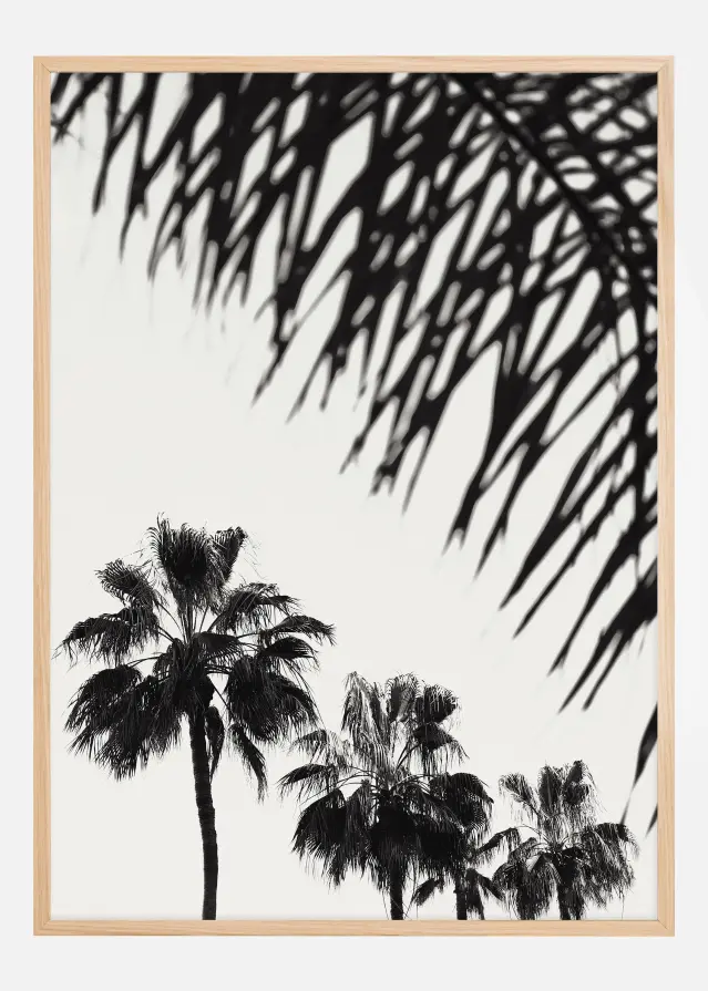 Palm 006 Póster